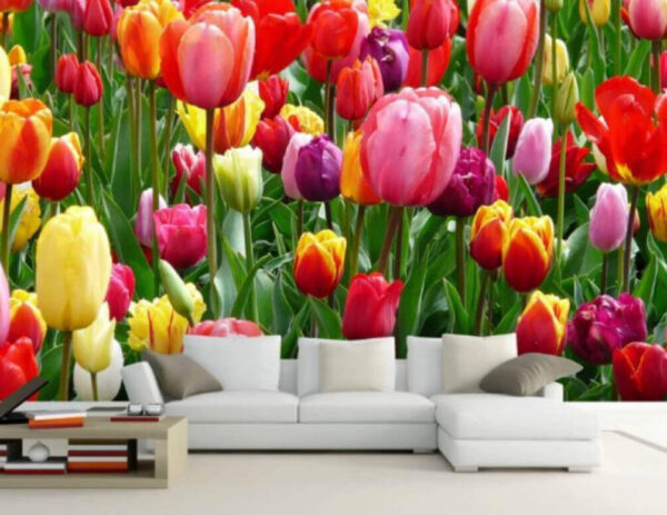 Skupina barevných tulipánů Skupina barevných tulipánů
