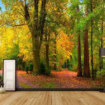 Fototapeta Stezka se stromy a listím