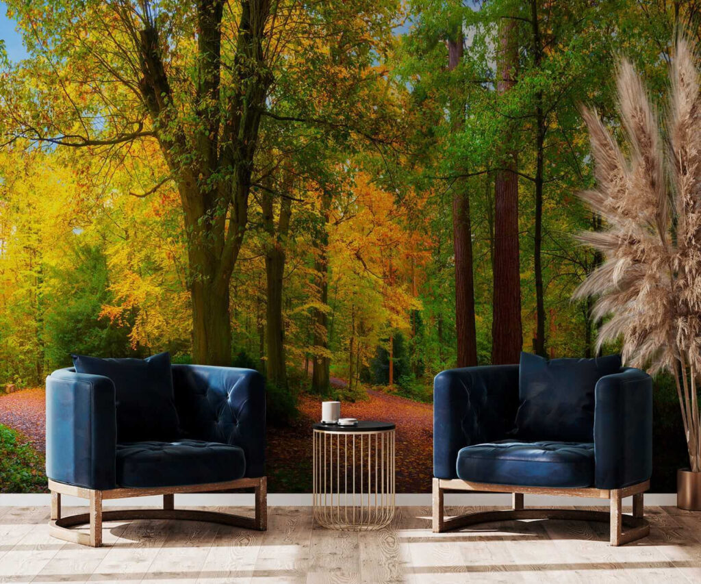 Path with trees and leaves on it Path with trees and leaves on it