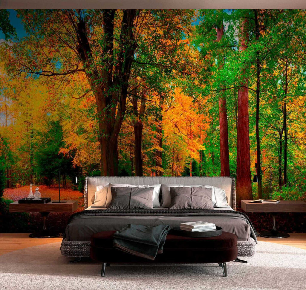 Path with trees and leaves on it Path with trees and leaves on it