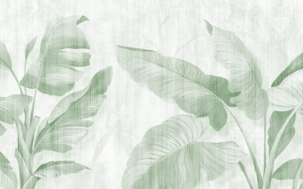 Lush leaves in soft green hues Lush leaves in soft green hues