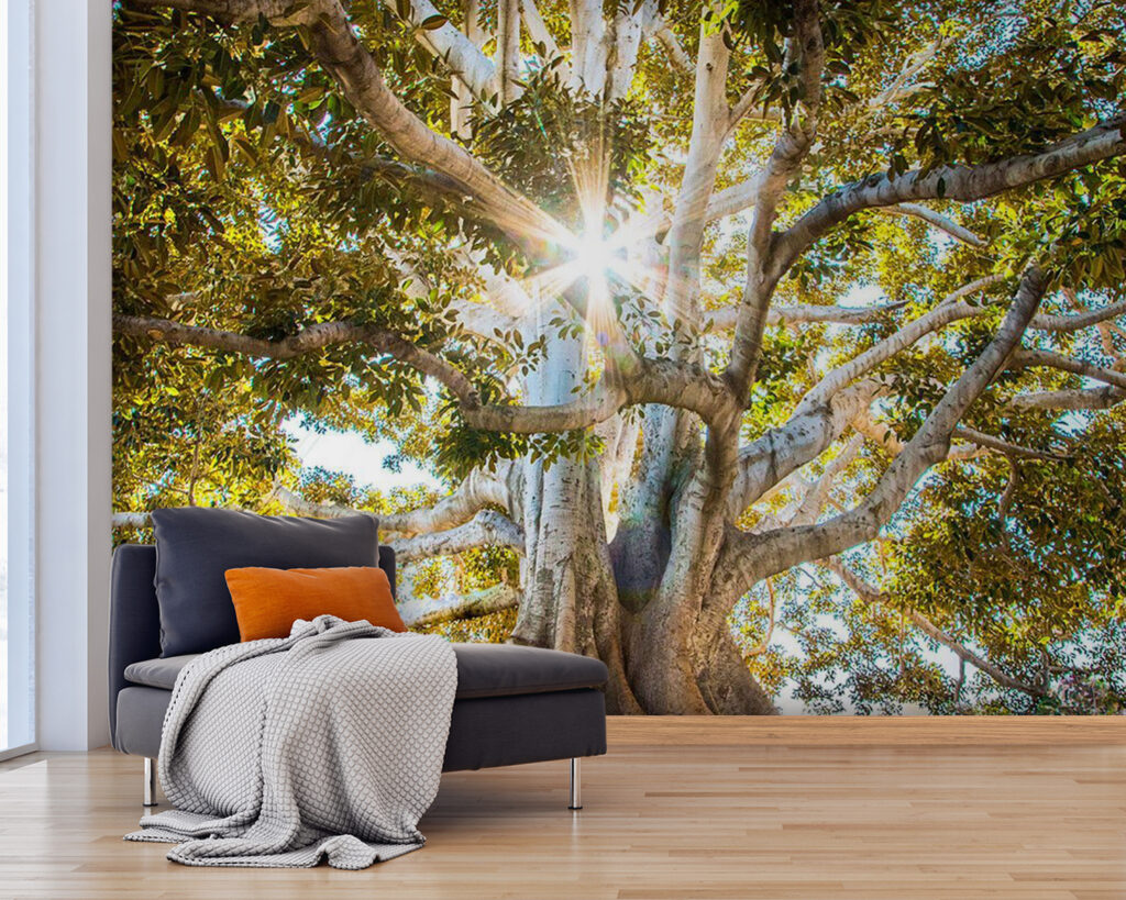 u01271pig25 1024x819 - Majestátní strom v zářivém slunečním světle - tegory