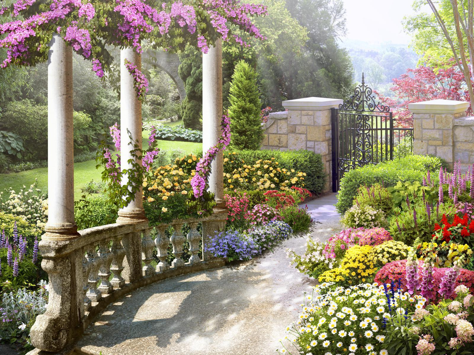 Garden with a gate and flowers Garden with a gate and flowers