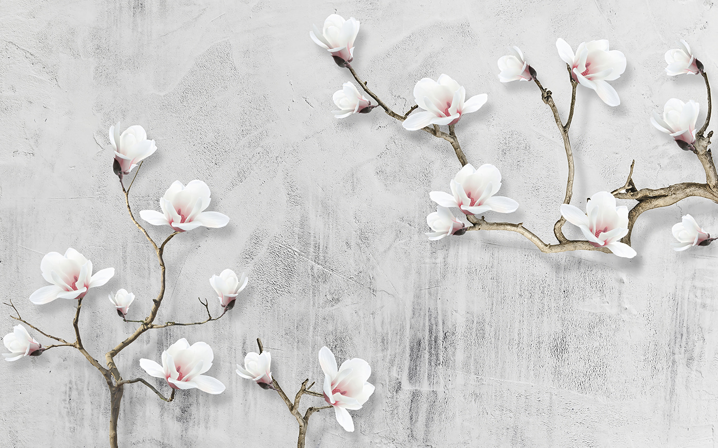 White flowers on a white background