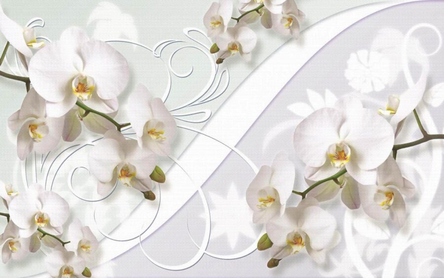 Fototapeta Jemné orchideje v jemných odstínech - Image 3