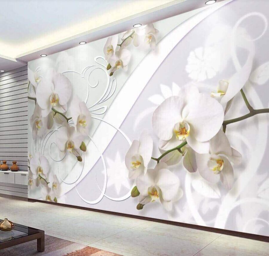 Fototapeta Jemné orchideje v jemných odstínech