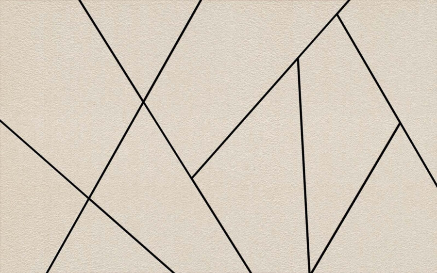 Fototapeta Geometrické vzory na texturovaném pozadí. - Image 6