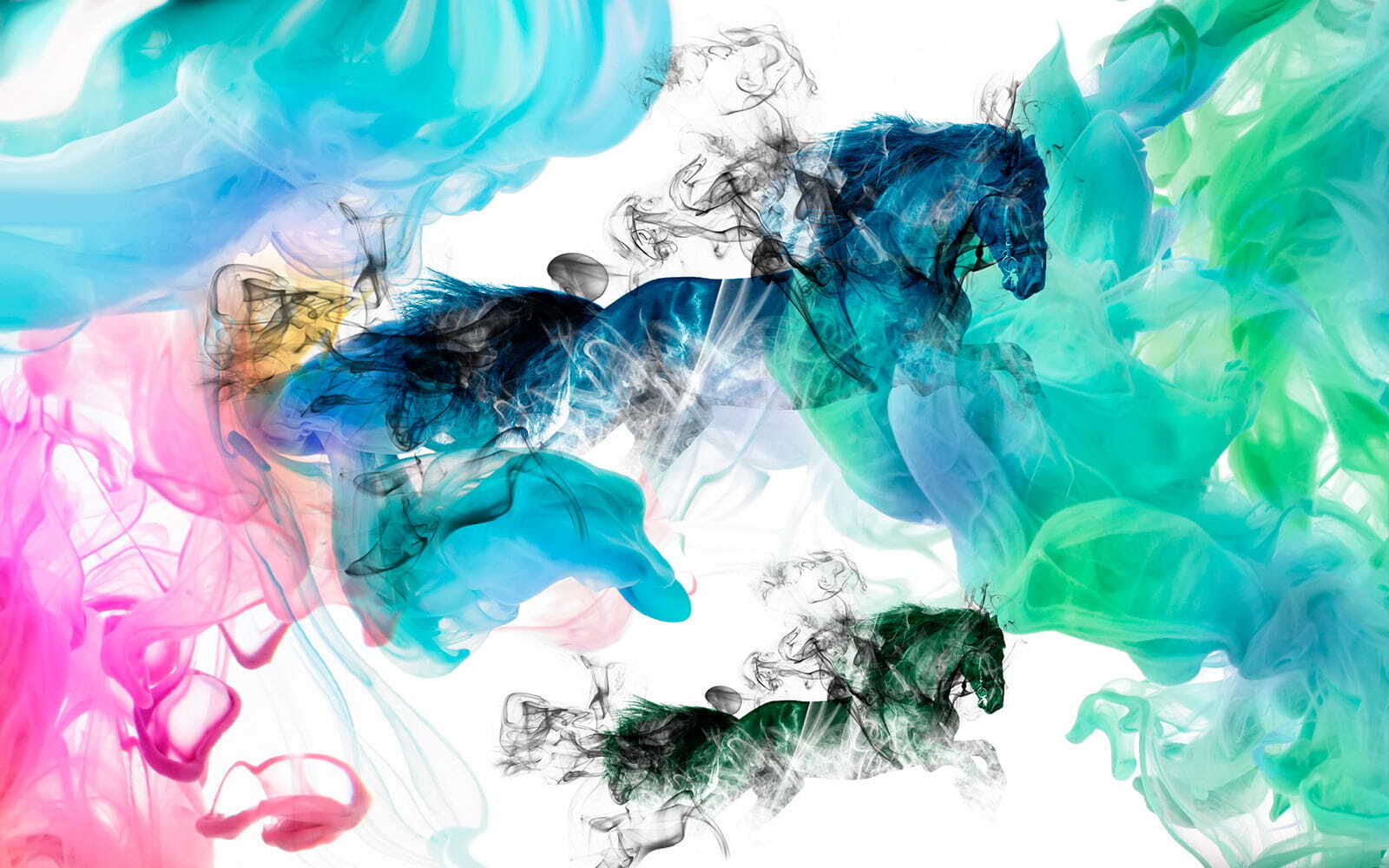 u16619p - Kůň v různých barvách kouře - tegory