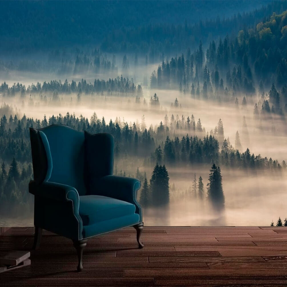 Foggy forest with trees