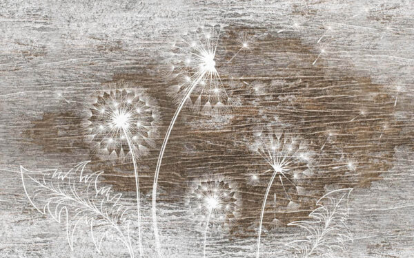 u31086p 600x375 - Bílé pampelišky na dřevěném povrchu - tegory