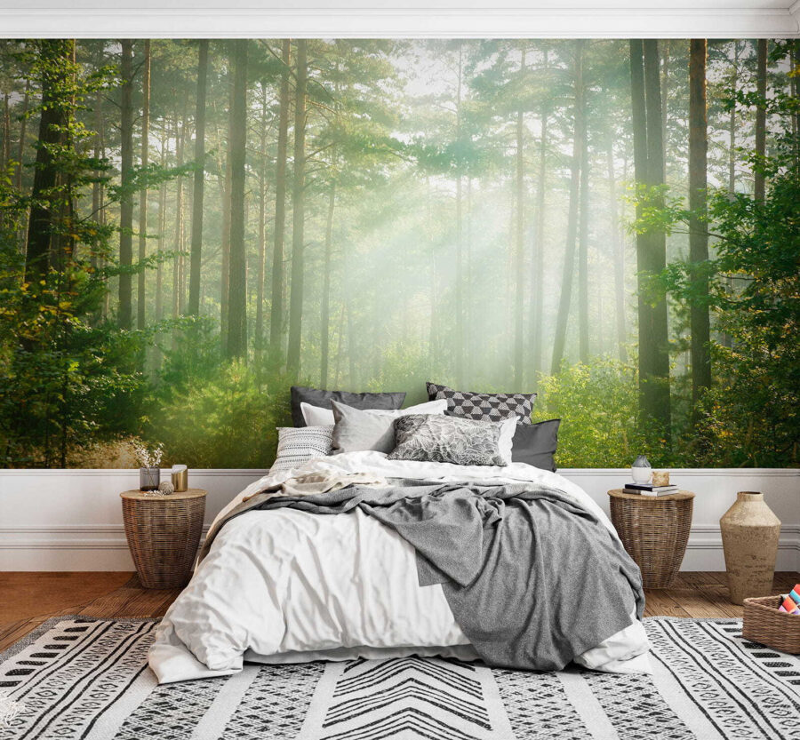 Fototapeta Cesta lesem se stromy a keři - Image 2