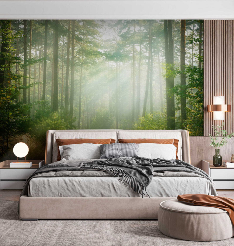 Fototapeta Cesta lesem se stromy a keři - Image 4