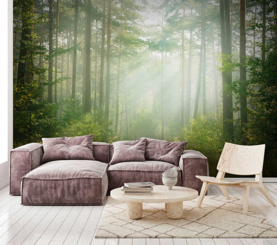 Fototapeta Cesta lesem se stromy a keři - Image 6