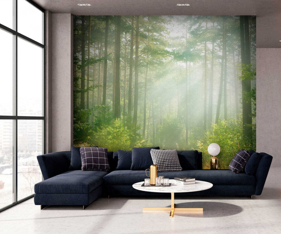 Fototapeta Cesta lesem se stromy a keři - Image 8