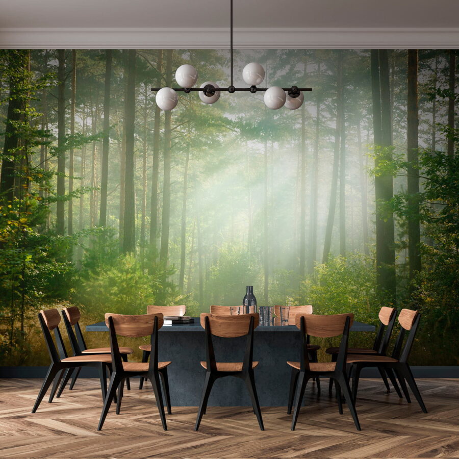 Fototapeta Cesta lesem se stromy a keři - Image 10