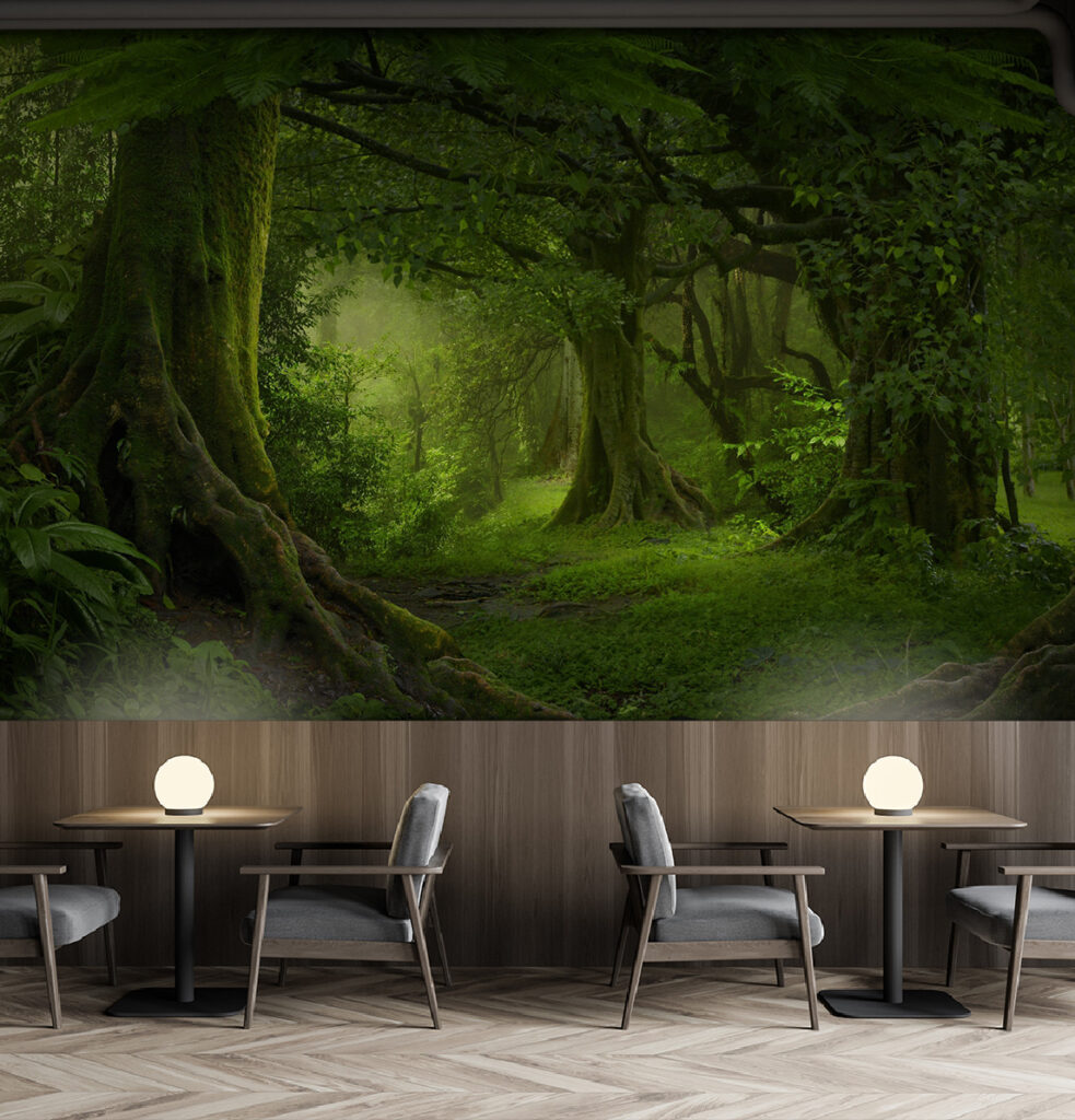 Forest with trees and plants