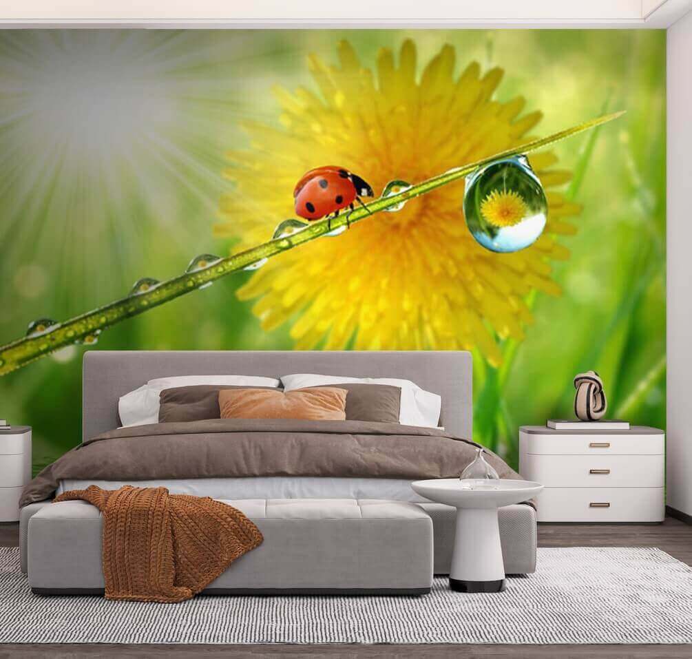 Ladybug on a blade of grass with water drops Ladybug on a blade of grass with water drops