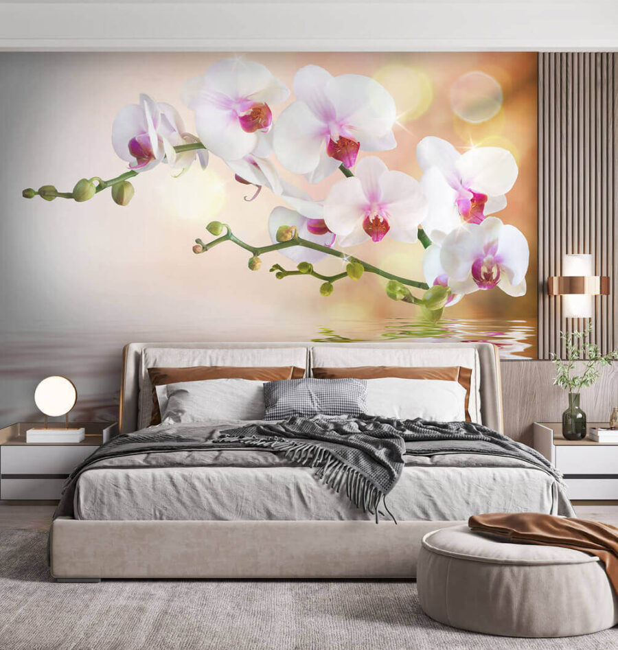 Fototapeta Bílé orchideje na větvi s vodními vlnkami