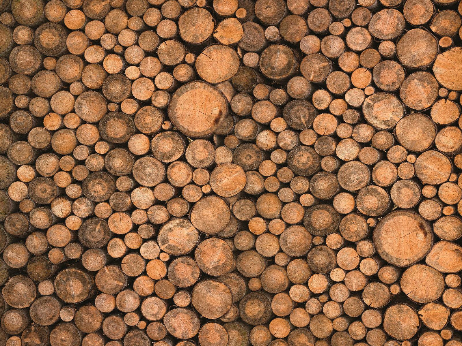 Group of round logs