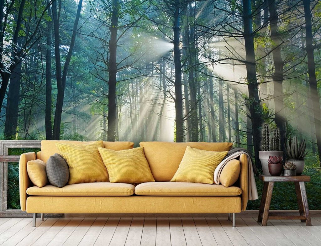 u70959pig1 1024x785 - Slunce svítící skrz stromy v lese - tegory