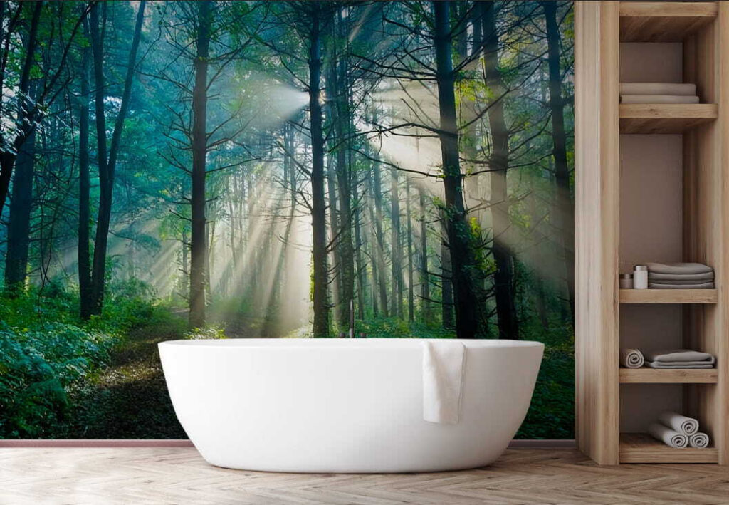 u70959pit1 1024x709 - Slunce svítící skrz stromy v lese - tegory