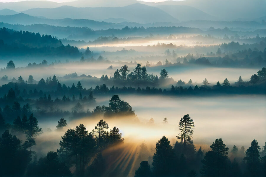 Mlžná krajina se stromy a horami