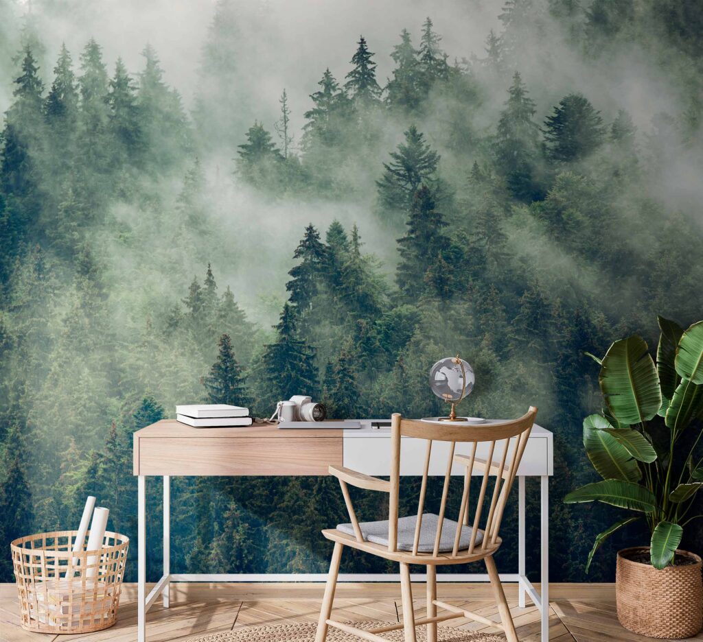 u73873piw1 1024x936 - Les stromů s mlhou - tegory