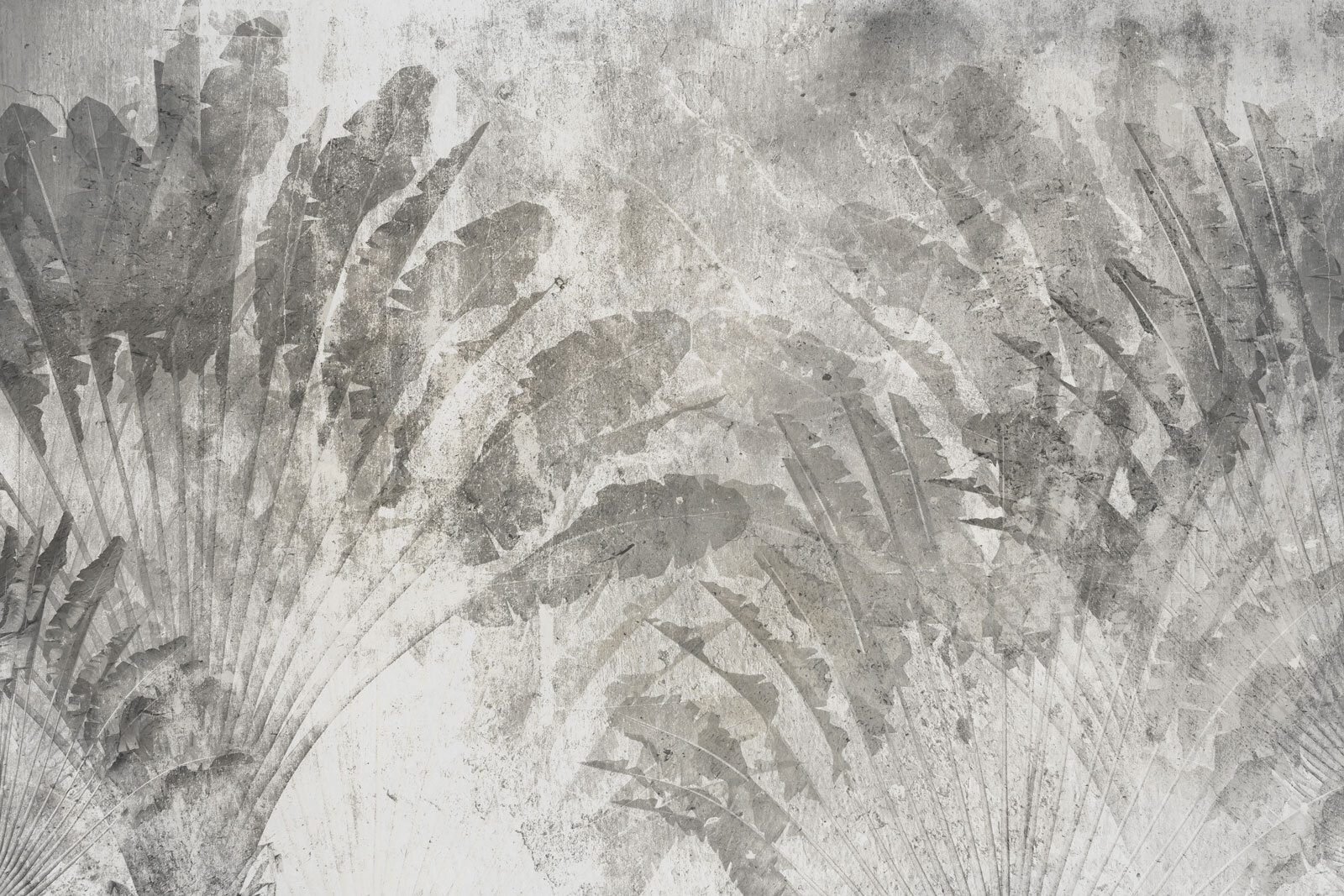 Grey and white background with leaves Grey and white background with leaves