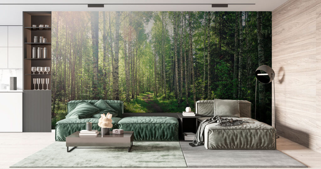 Path through a forest of trees Path through a forest of trees