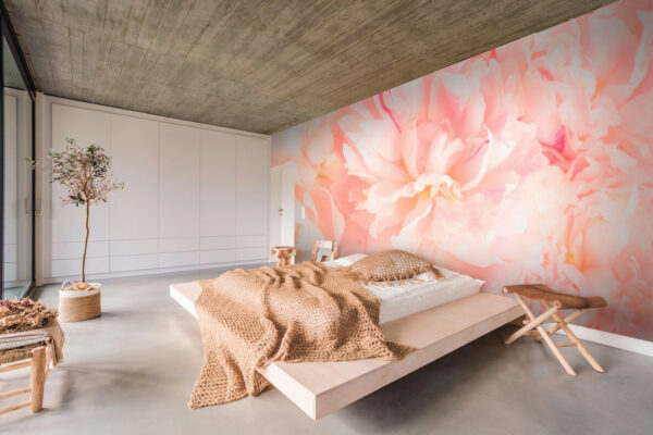 Wall murals Soft petals in gentle hues. Wall murals Soft petals in gentle hues.
