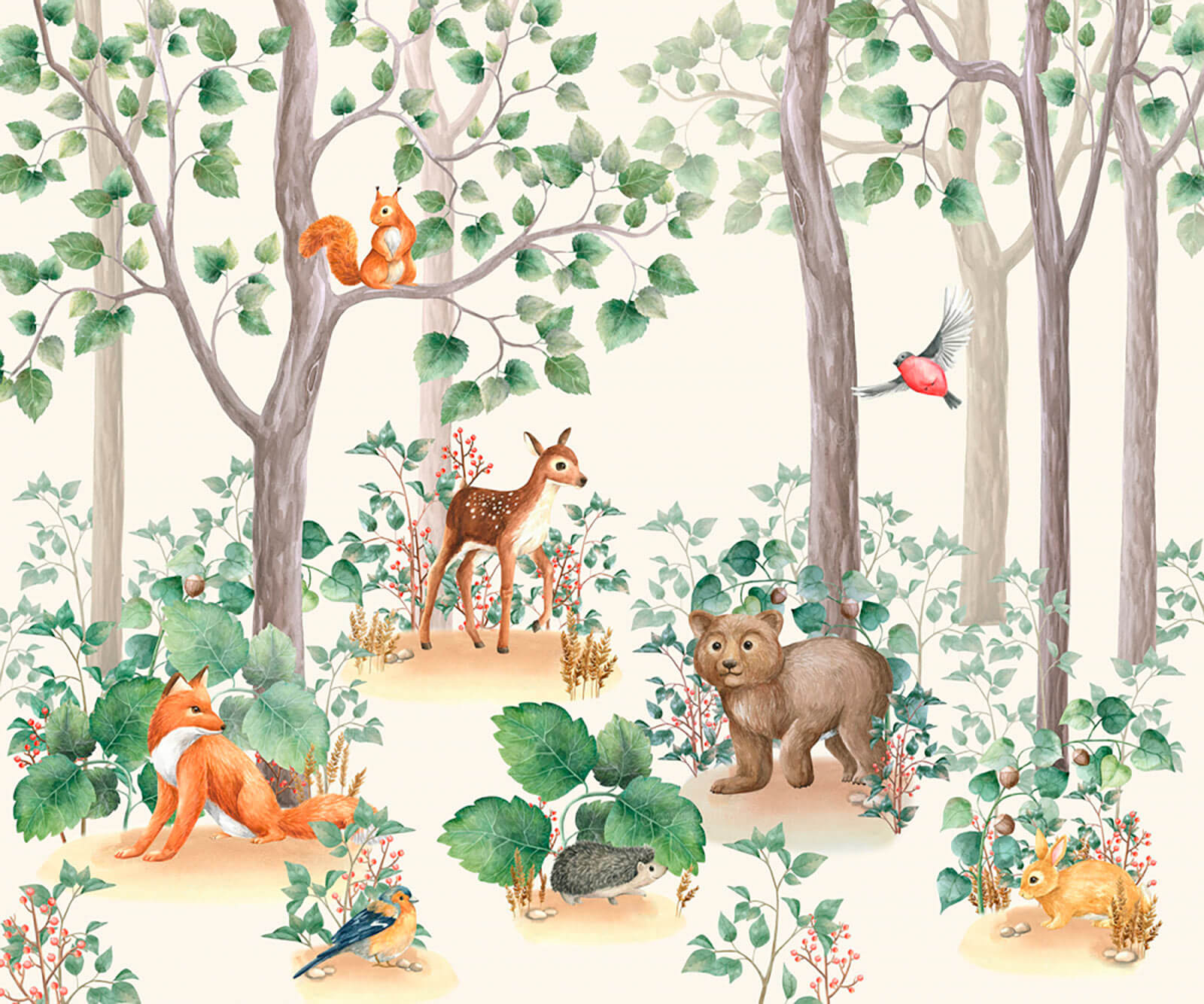 u79629p - Tapety se zvířaty v lese - tegory