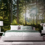 Fototapeta Slunce svítí skrz stromy