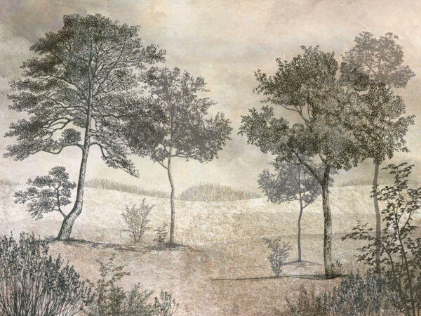 Drawing of trees in a field Drawing of trees in a field