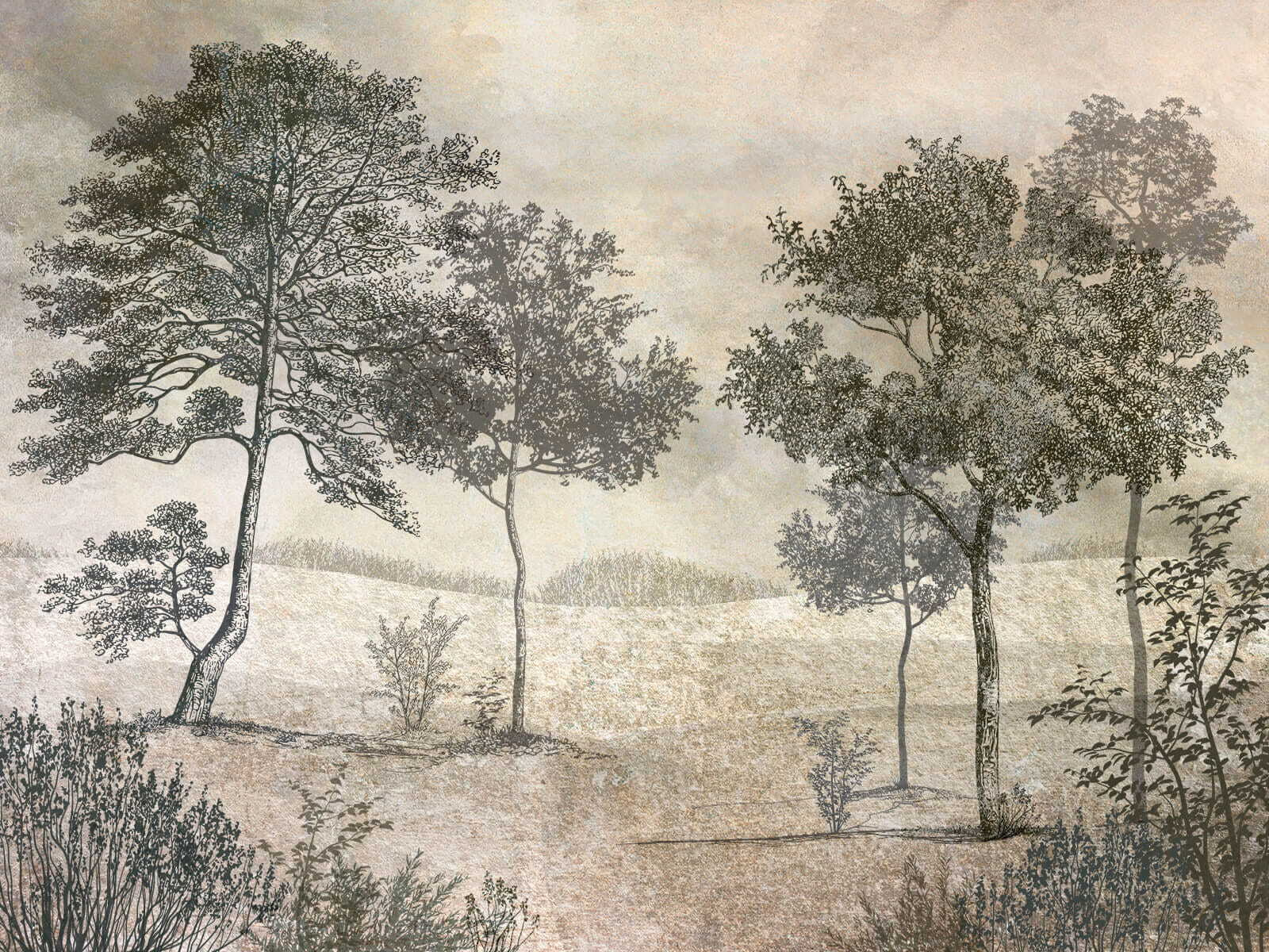 Drawing of trees in a field Drawing of trees in a field
