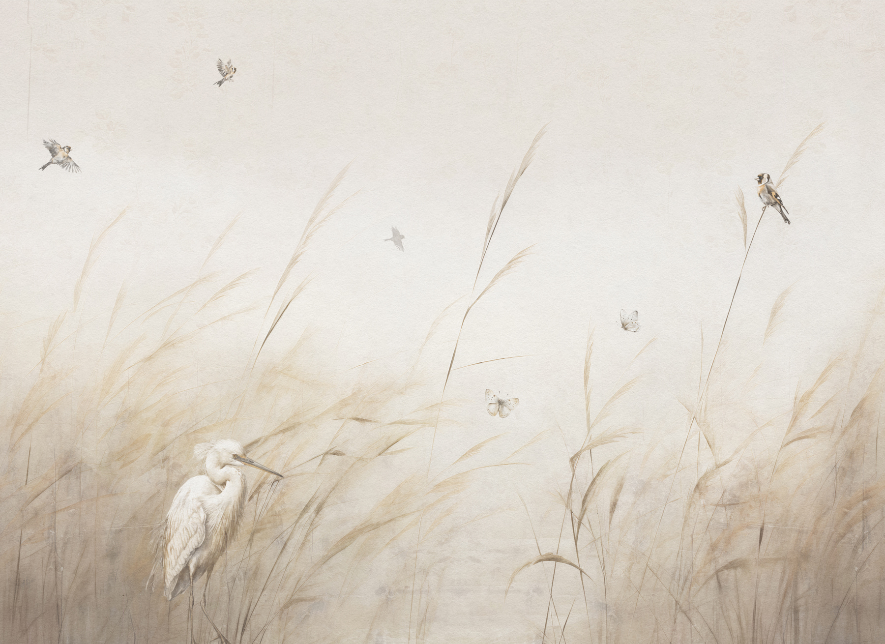 A bird in a field of grass A bird in a field of grass