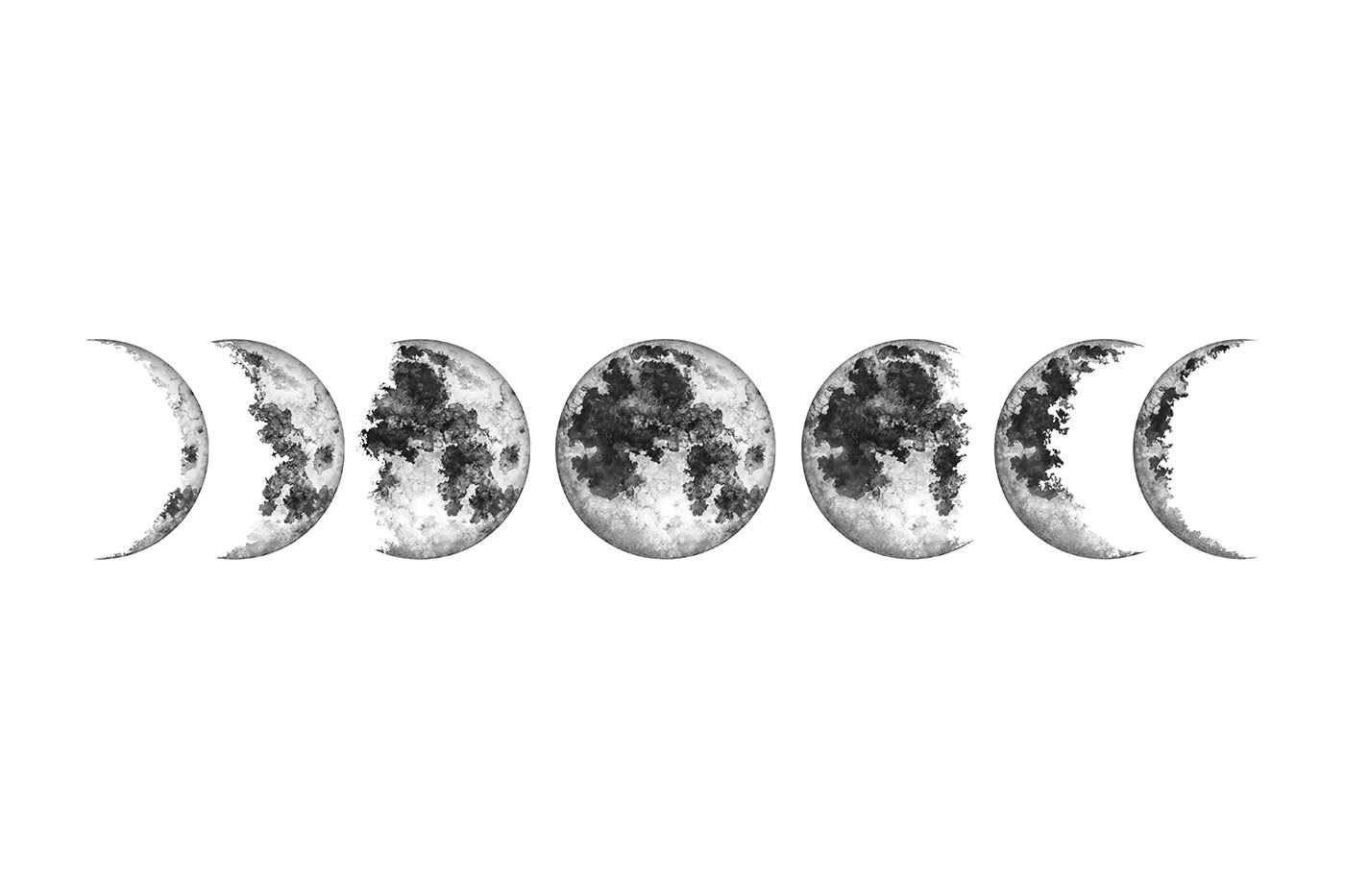 A row of phases of the moon
