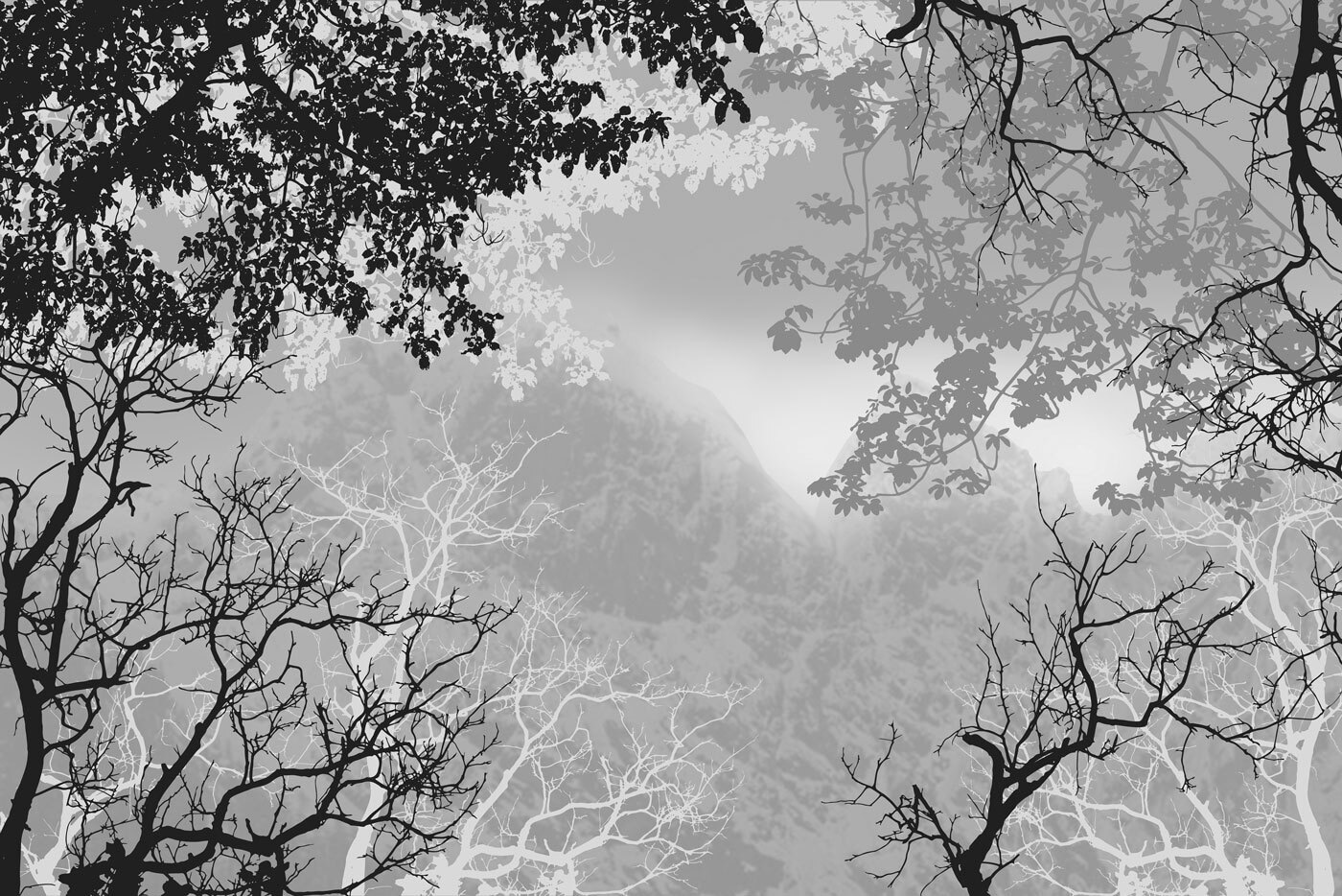 A group of trees with branches and leaves A group of trees with branches and leaves