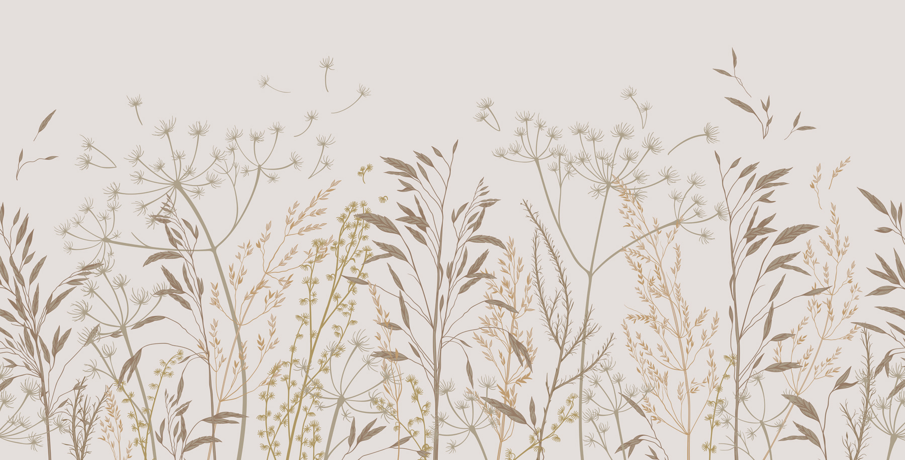 A close up of plants