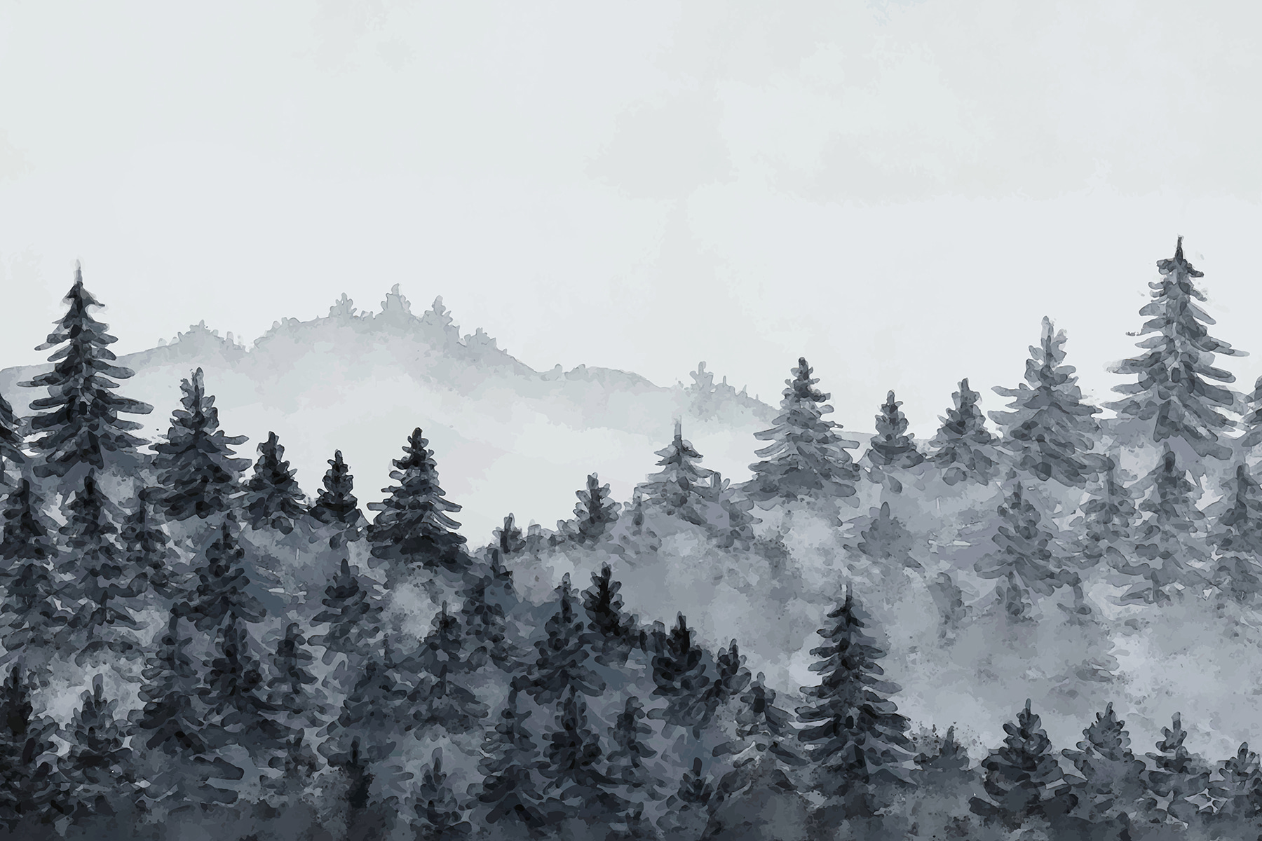 A foggy forest with trees