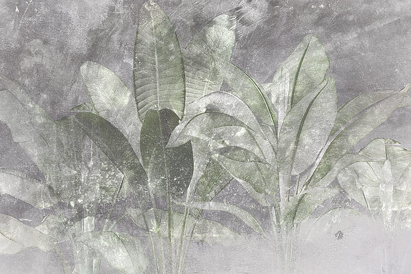 Botanická elegance v jemných texturách. Botanická elegance v jemných texturách.