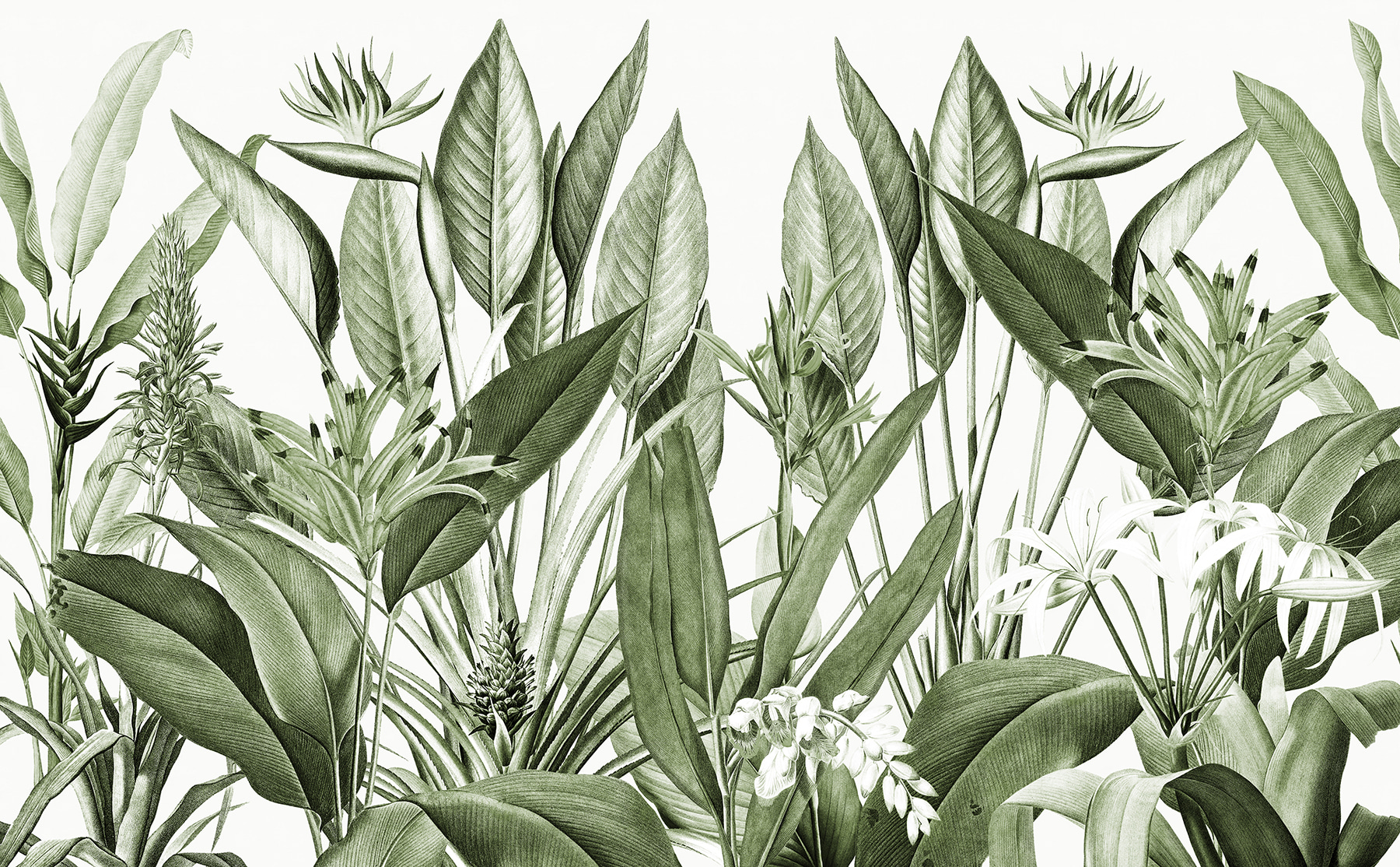 Lush greenery in delicate detail Lush greenery in delicate detail