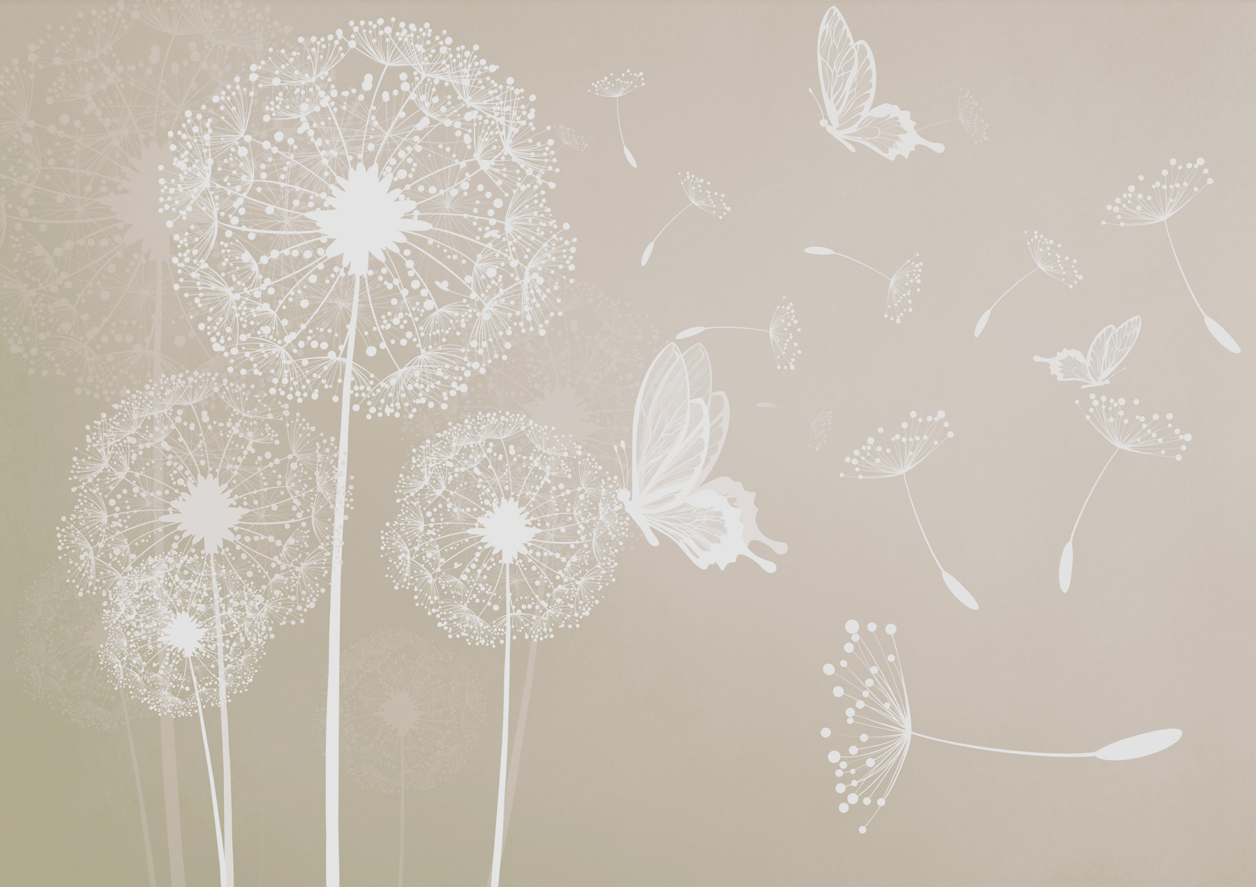 A white dandelions with butterflies flying A white dandelions with butterflies flying
