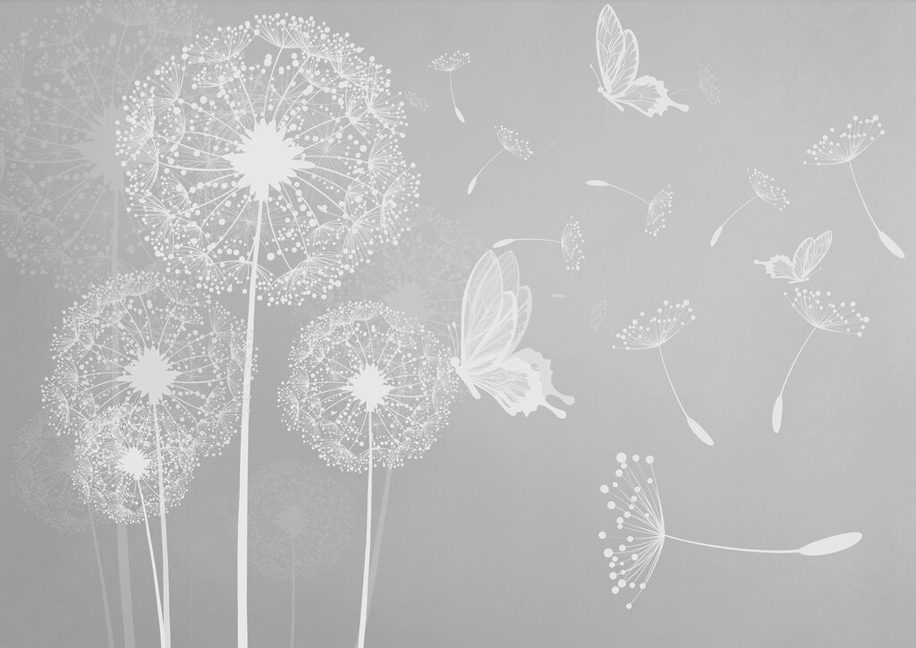 A white dandelions and butterflies