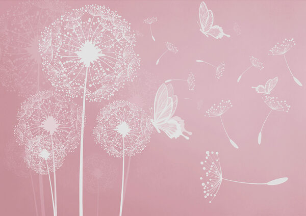 A pink background with white dandelions and butterflies A pink background with white dandelions and butterflies