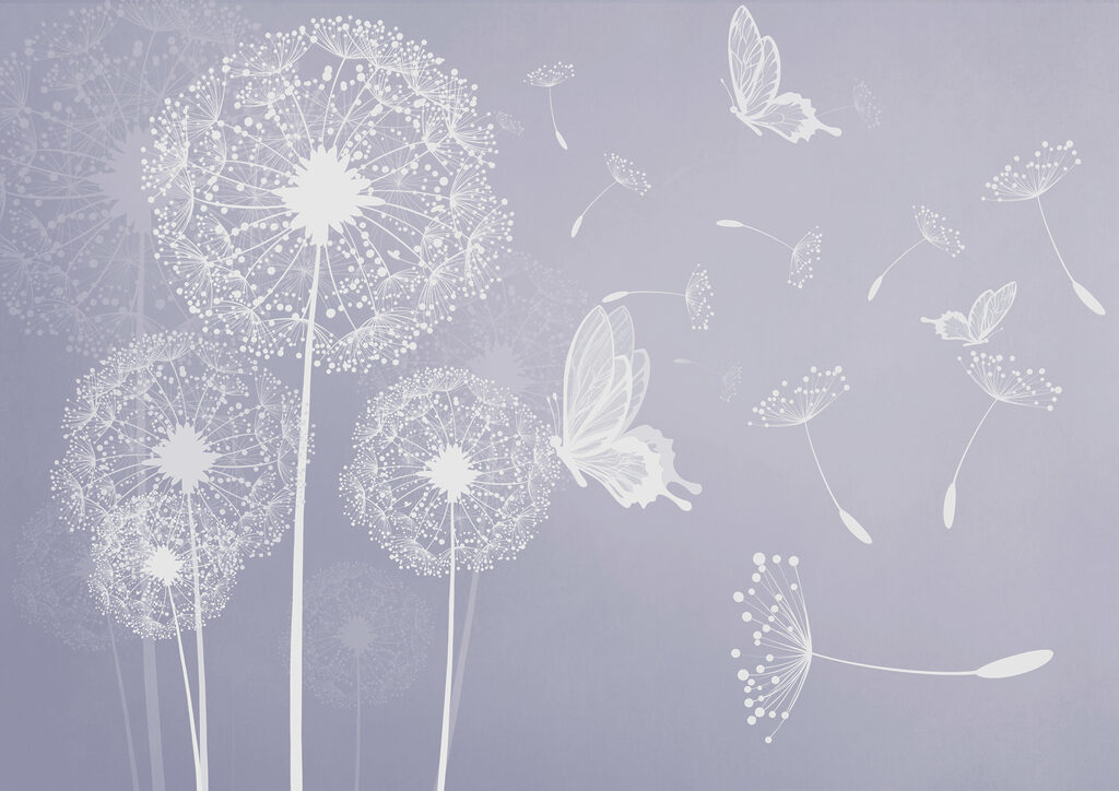 A white dandelions with butterflies flying
