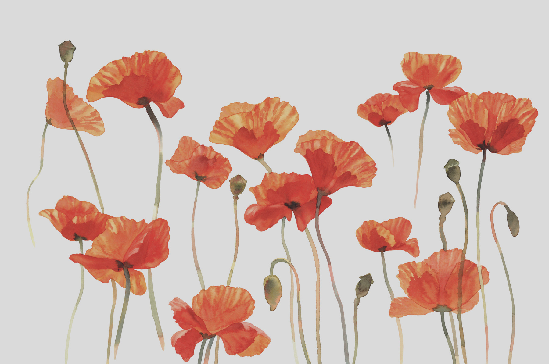 A group of orange flowers A group of orange flowers