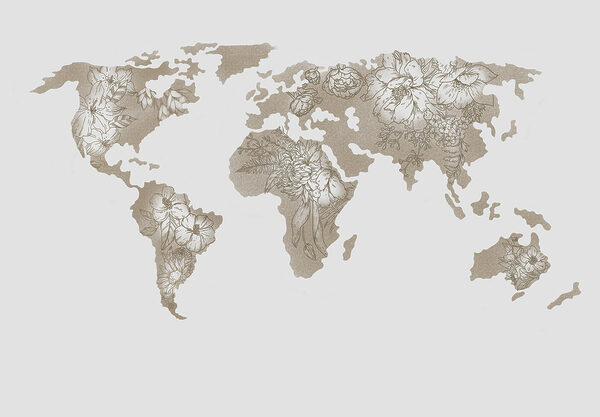 Mapa světa Mapa světa