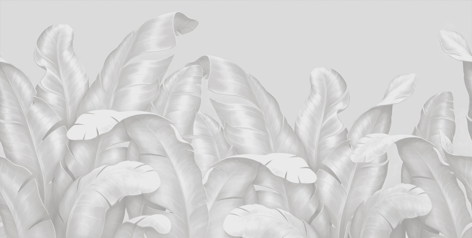 A group of white leaves