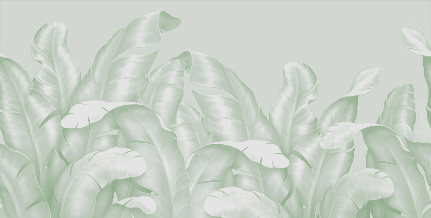 A close up of leaves