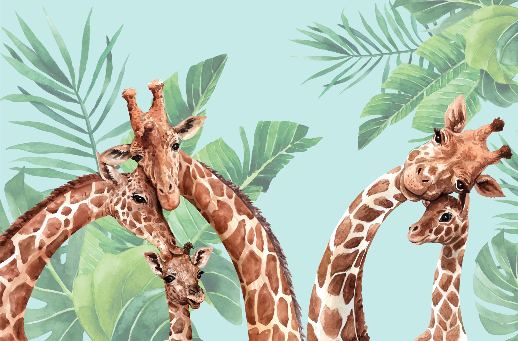 A group of giraffes with their heads together A group of giraffes with their heads together